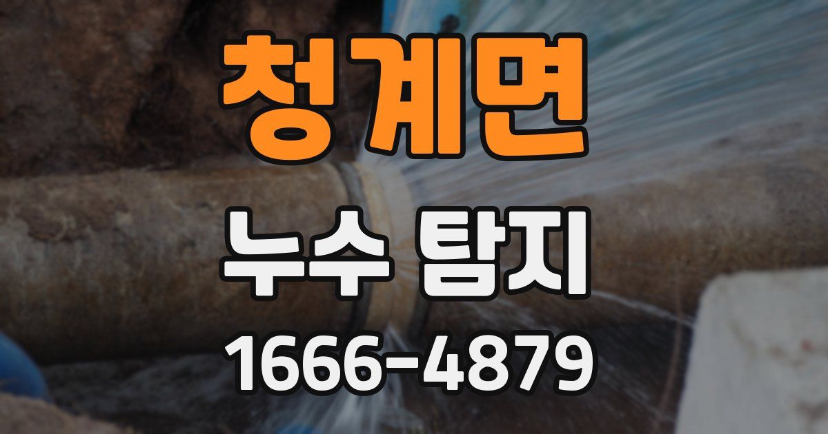 청계면 누수 탐지