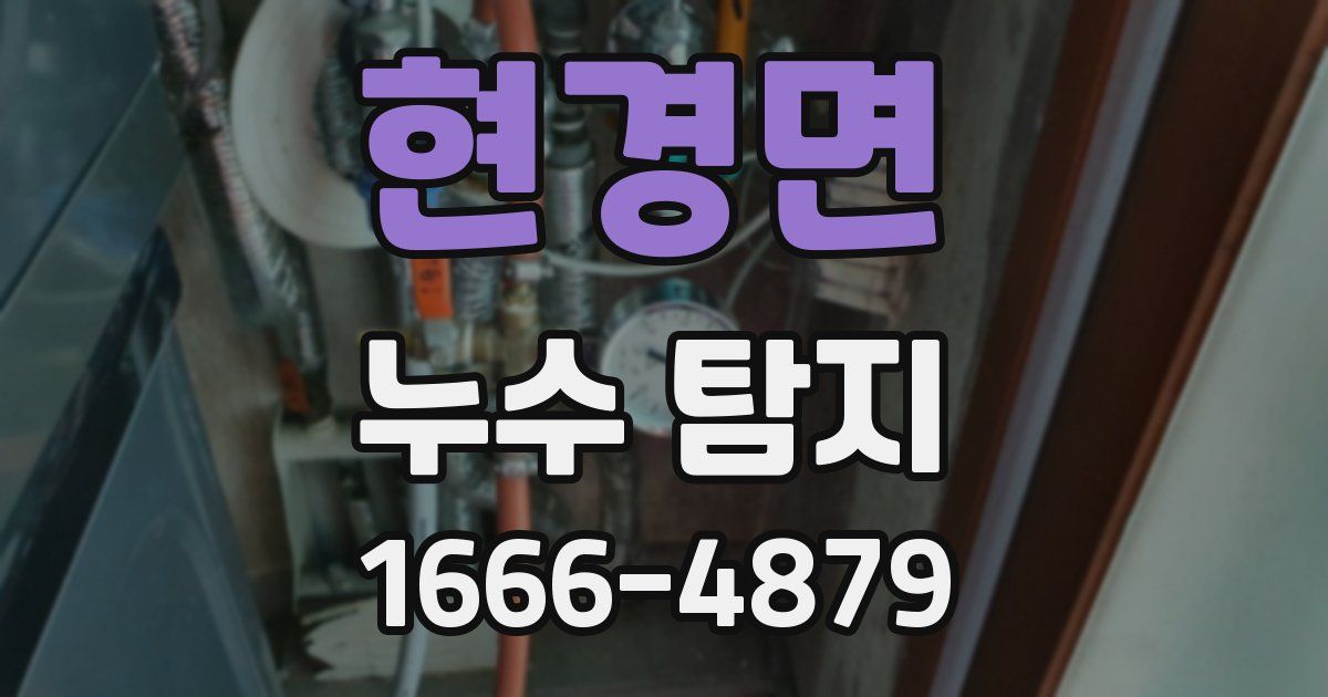 현경면 누수 탐지