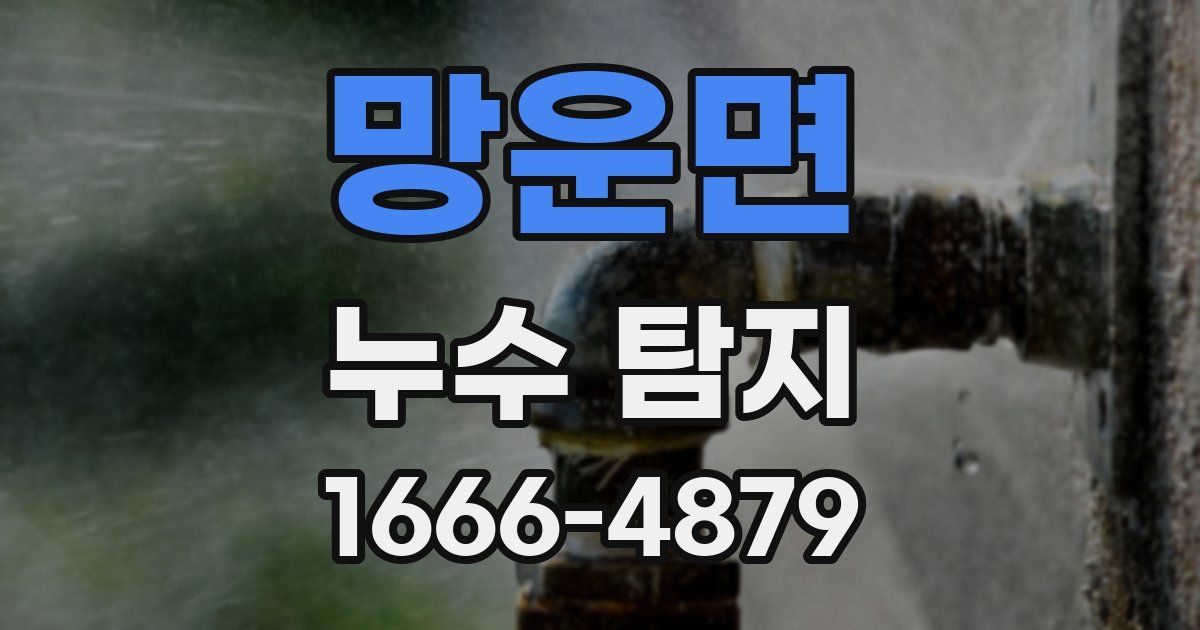 망운면 누수 탐지