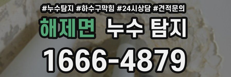 해제면 누수 탐지