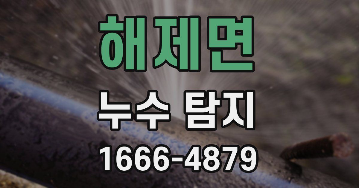 해제면 누수 탐지