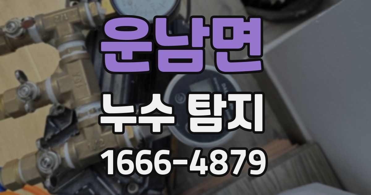 운남면 누수 탐지