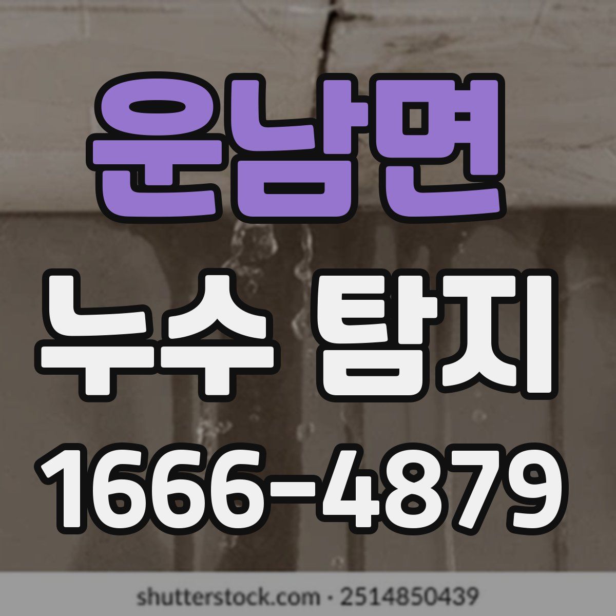 운남면 누수 탐지