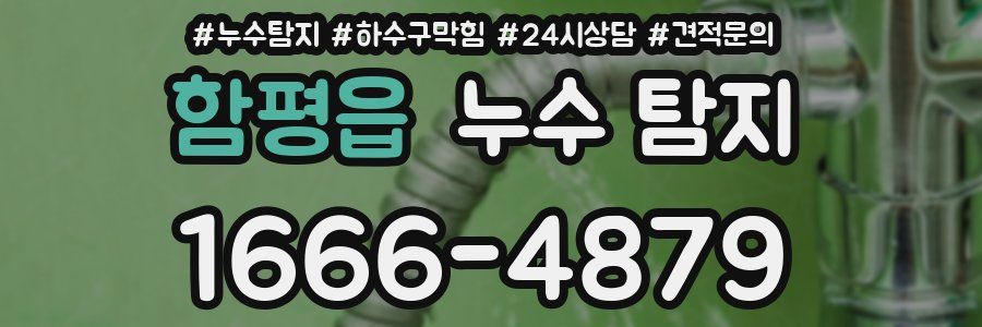함평읍 누수 탐지