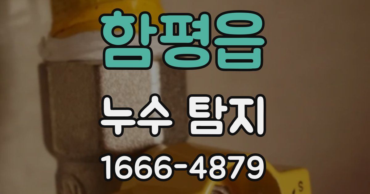 함평읍 누수 탐지