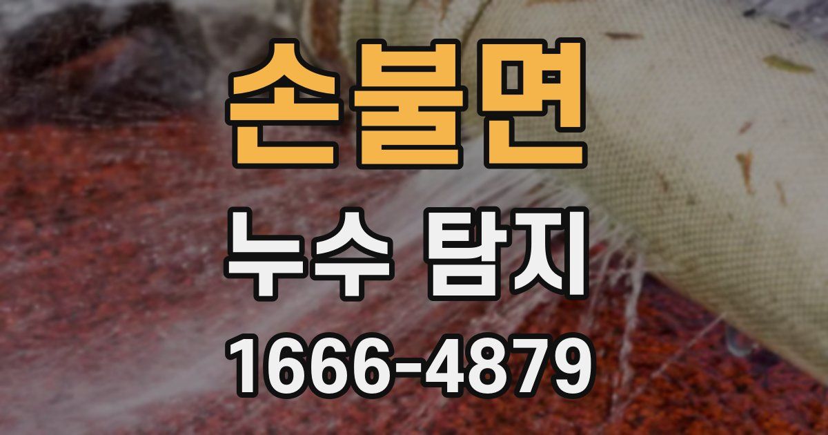 손불면 누수 탐지