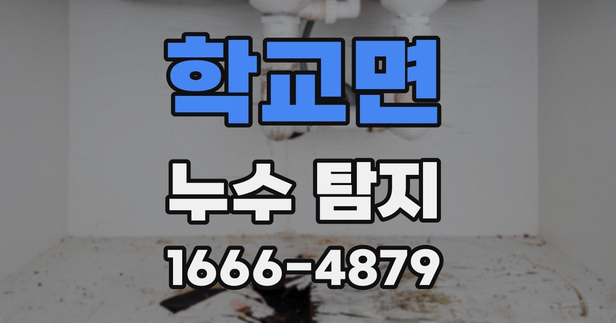 학교면 누수 탐지