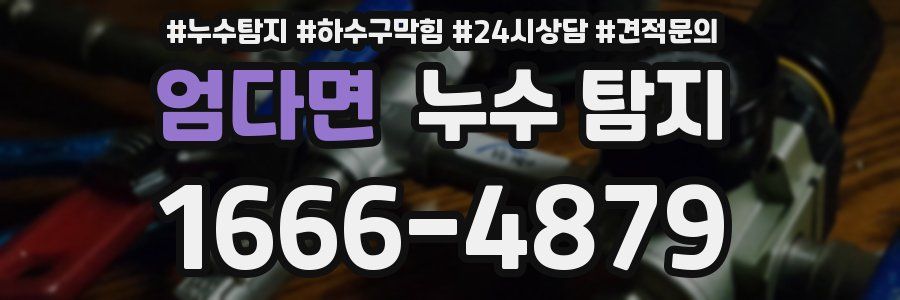 엄다면 누수 탐지