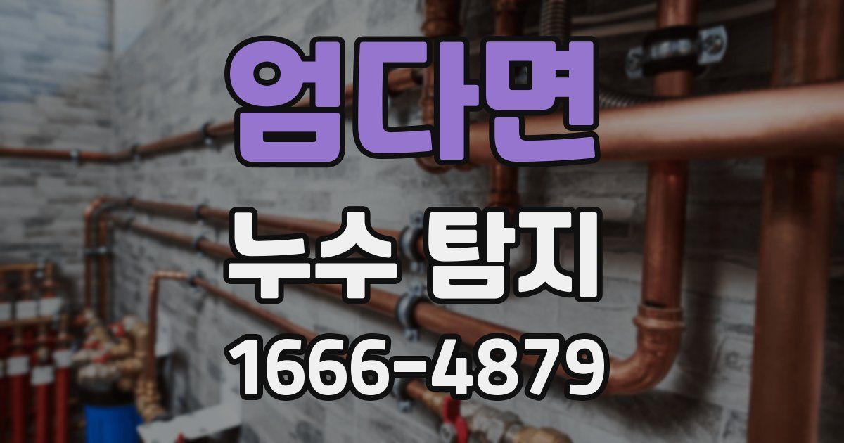 엄다면 누수 탐지