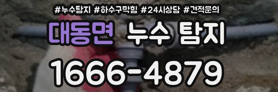 대동면 누수 탐지