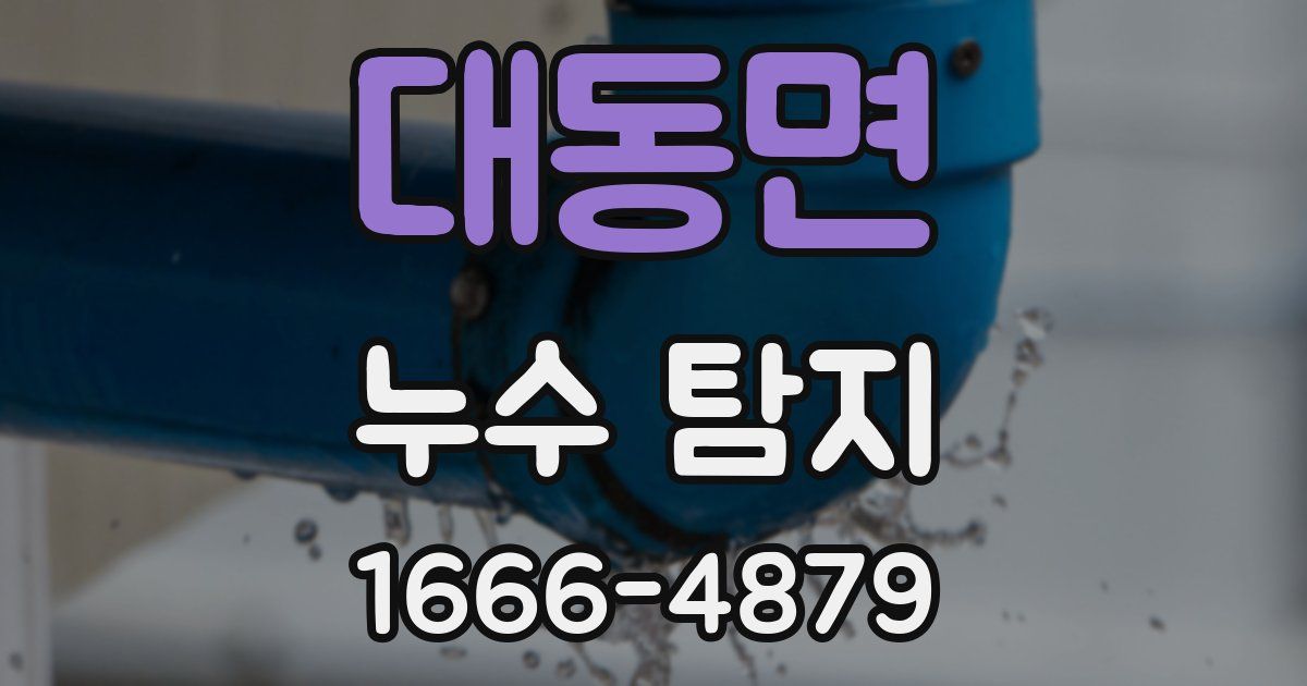 대동면 누수 탐지