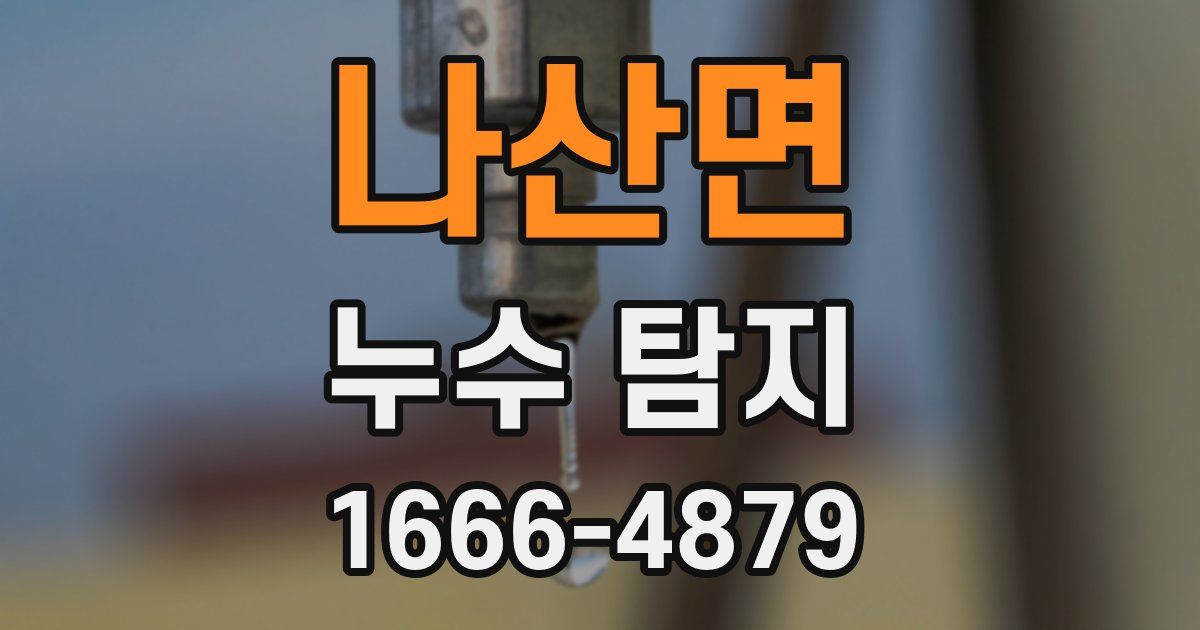 나산면 누수 탐지
