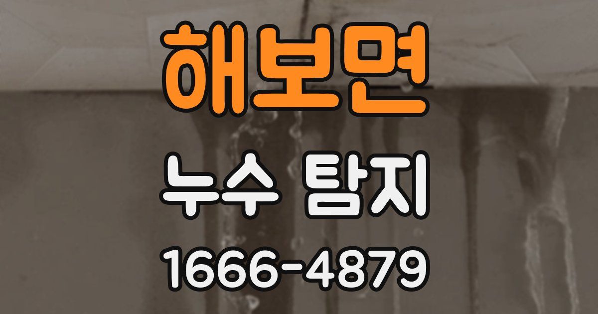 해보면 누수 탐지