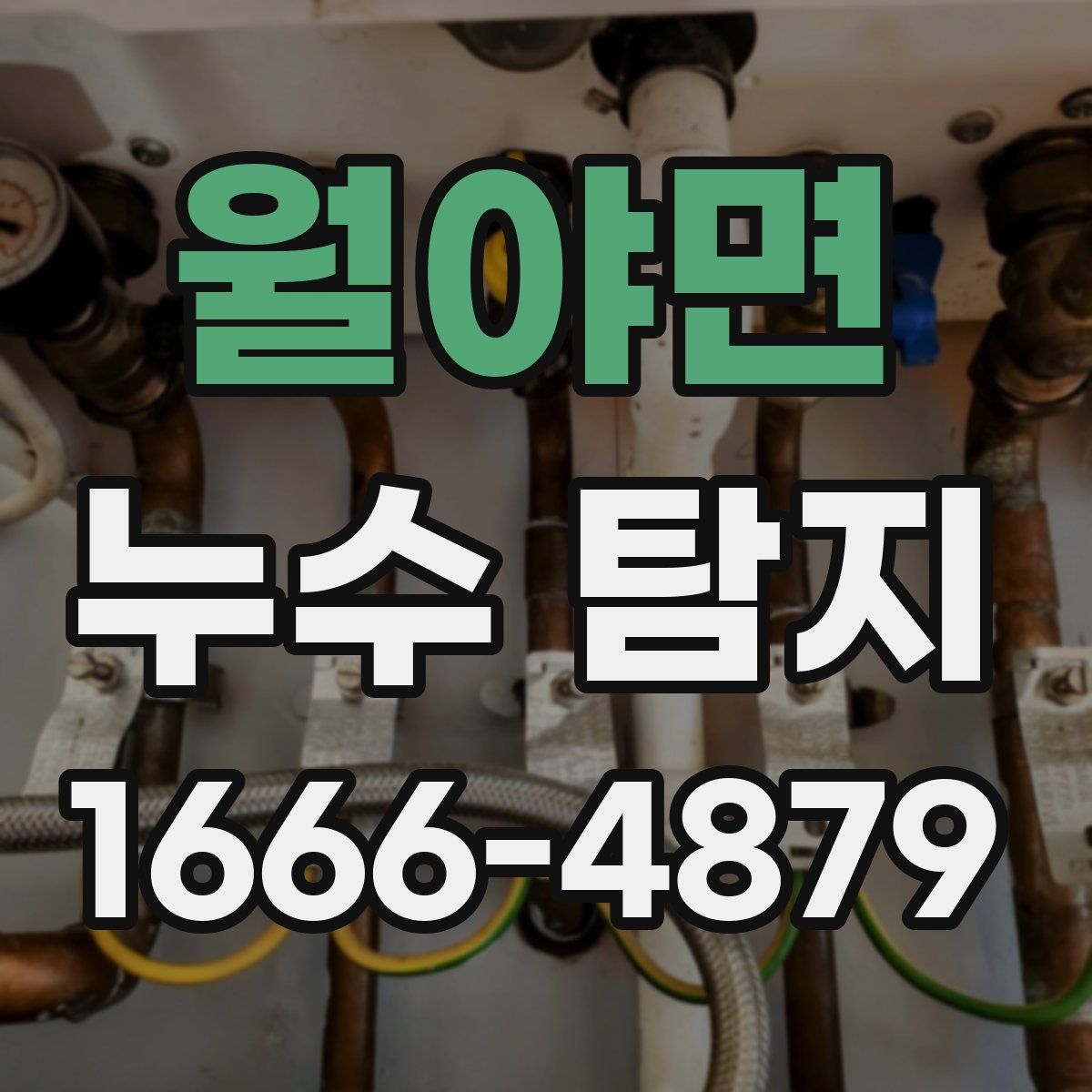 월야면 누수 탐지