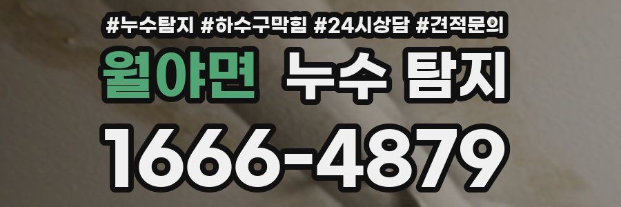 월야면 누수 탐지