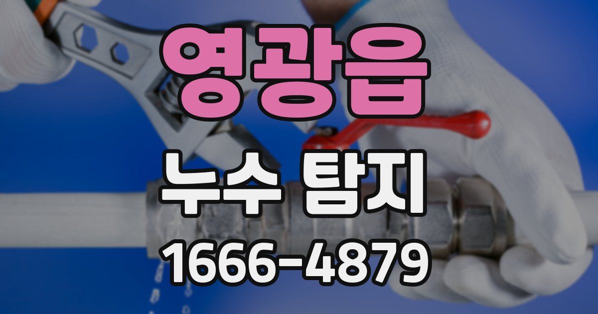 영광읍 누수 탐지