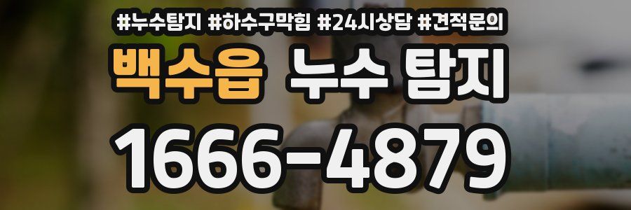 백수읍 누수 탐지
