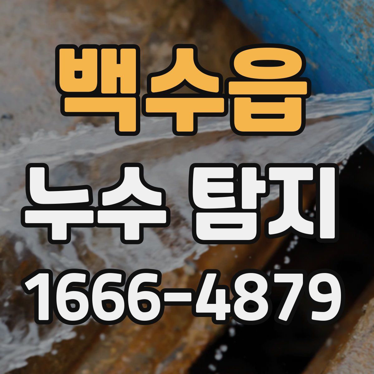 백수읍 누수 탐지