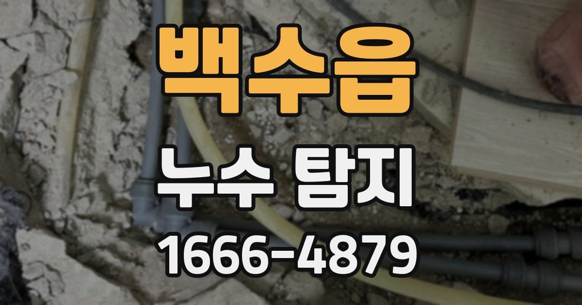 백수읍 누수 탐지