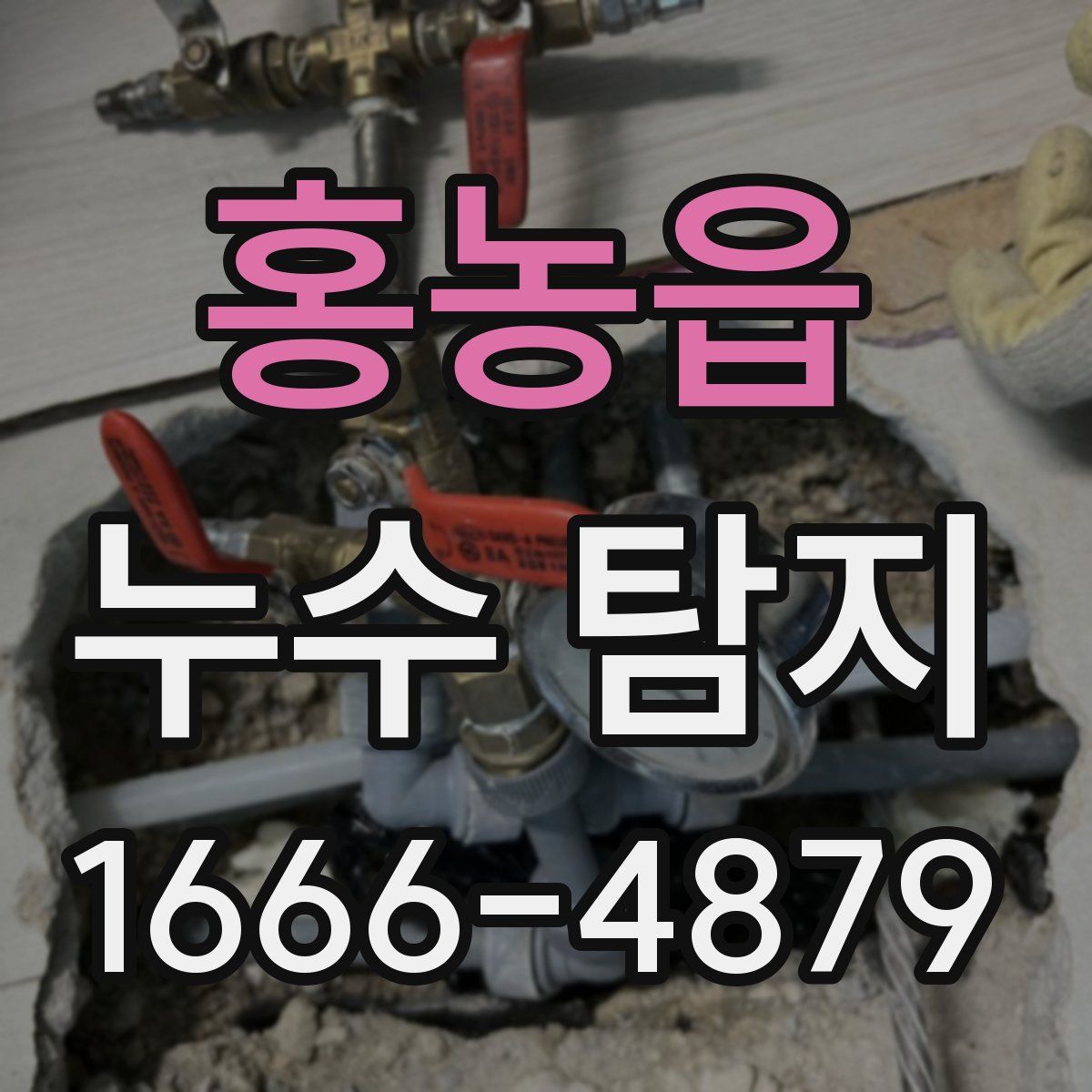 홍농읍 누수 탐지