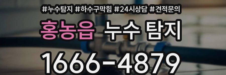 홍농읍 누수 탐지