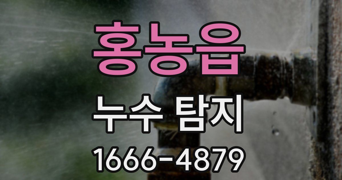 홍농읍 누수 탐지