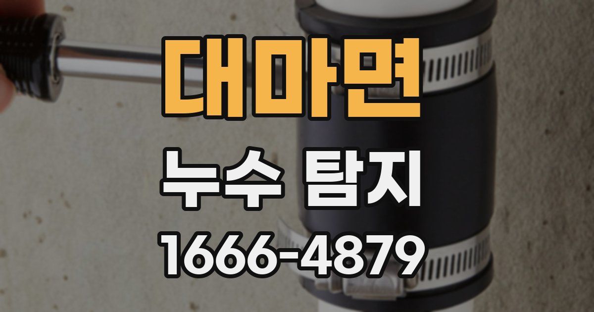 대마면 누수 탐지