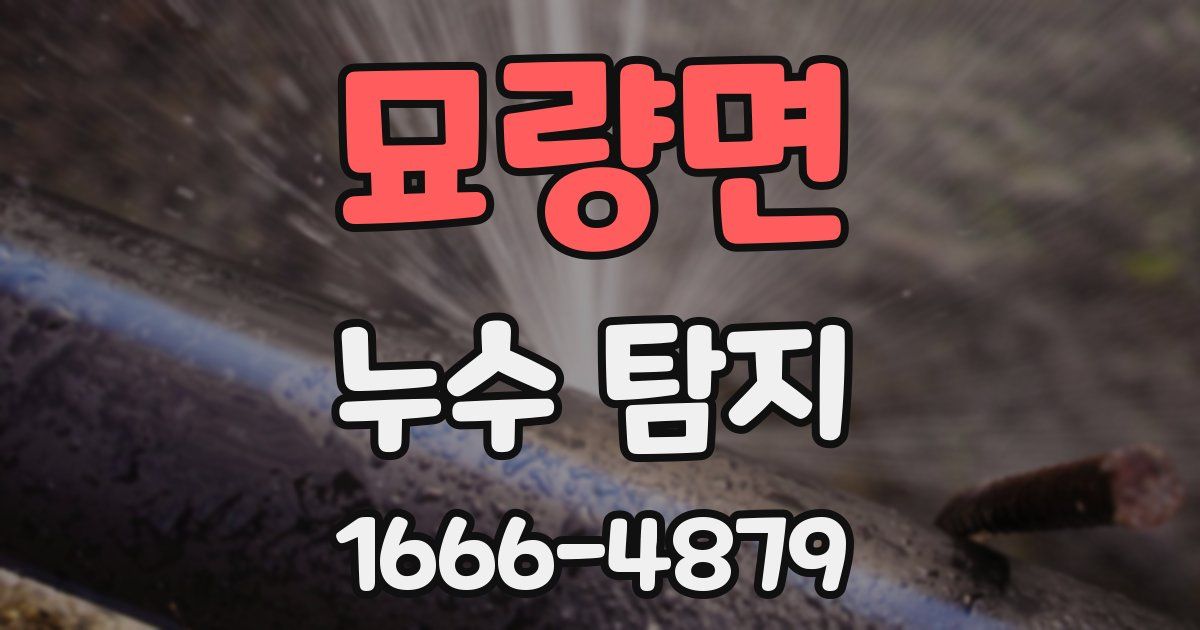 묘량면 누수 탐지