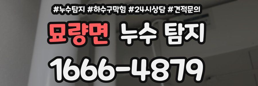 묘량면 누수 탐지