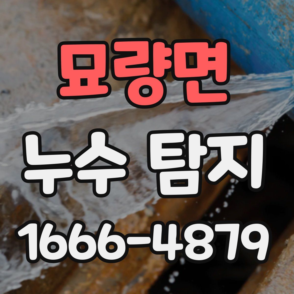 묘량면 누수 탐지