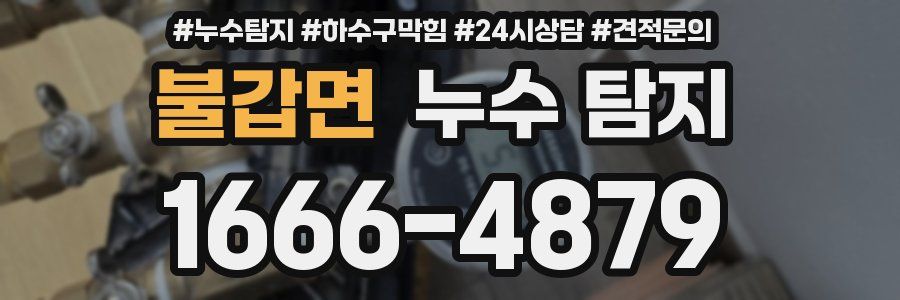 불갑면 누수 탐지
