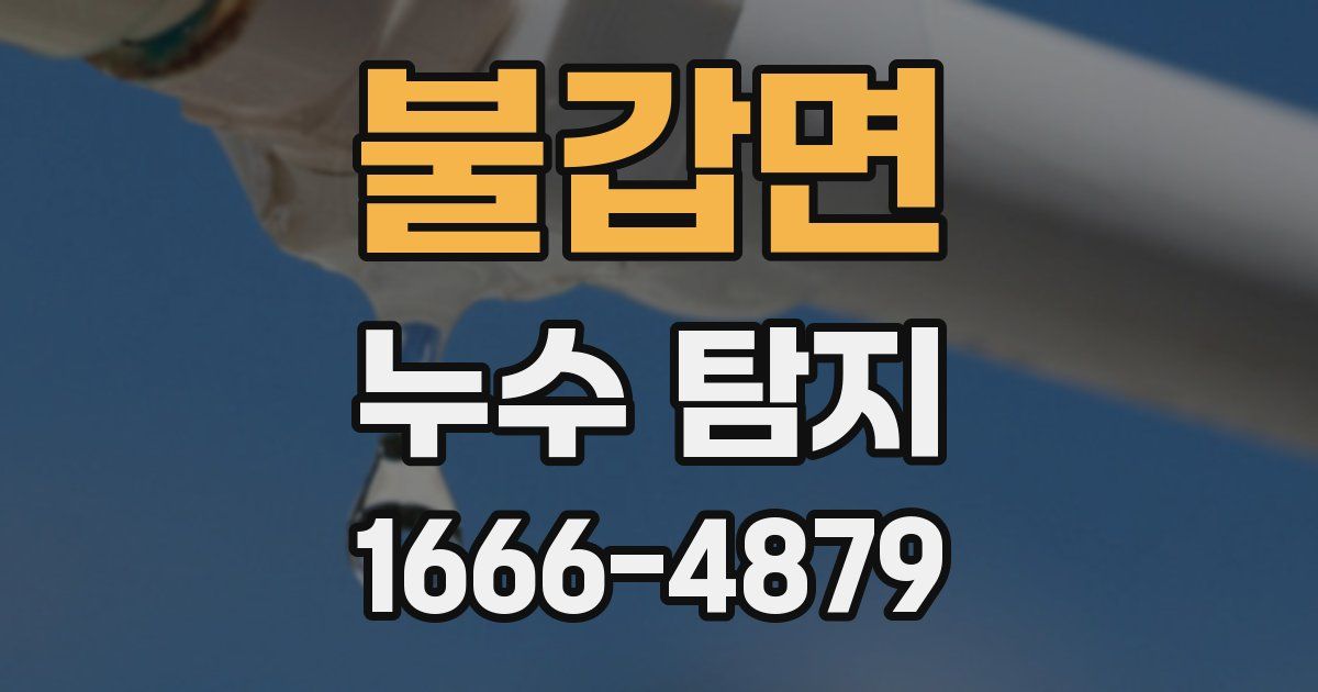불갑면 누수 탐지