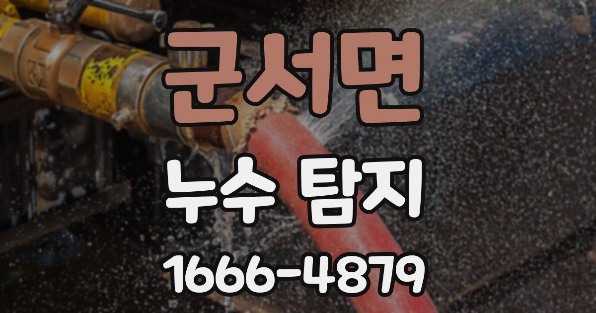 군서면 누수 탐지