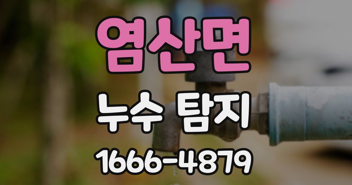 염산면 누수 탐지