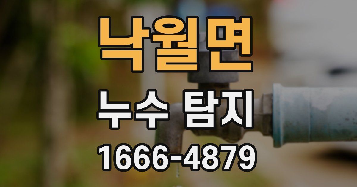 낙월면 누수 탐지