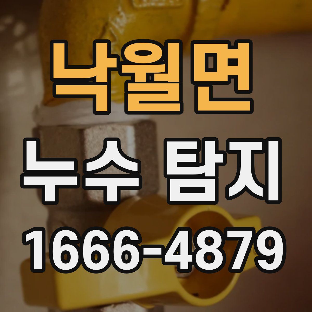 낙월면 누수 탐지