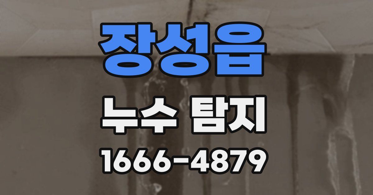 장성읍 누수 탐지