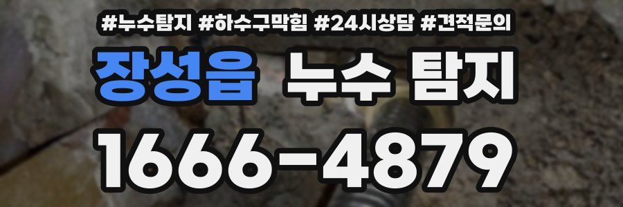 장성읍 누수 탐지