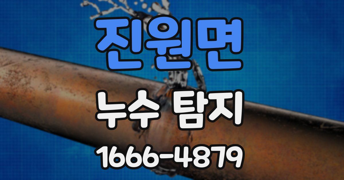 진원면 누수 탐지