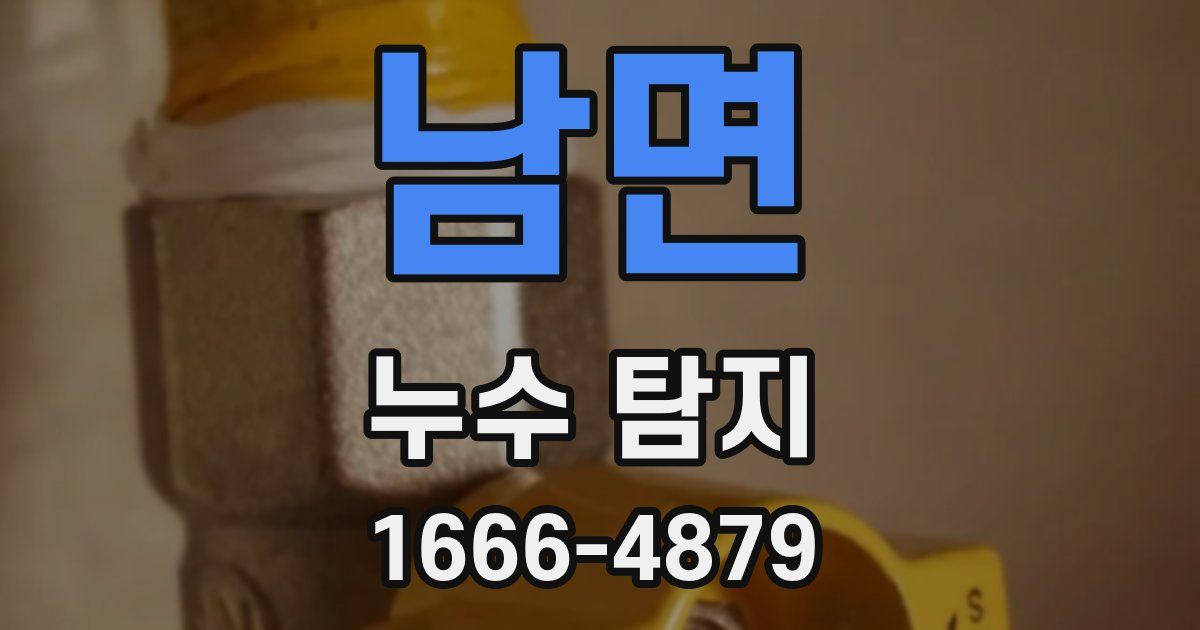 남면 누수 탐지