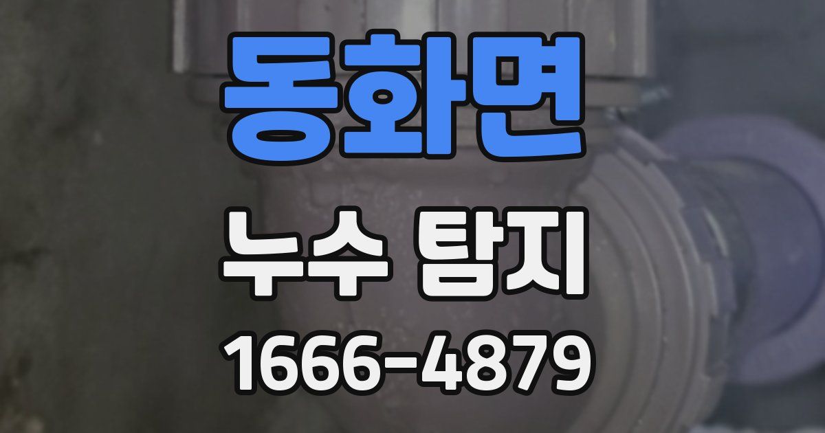 동화면 누수 탐지