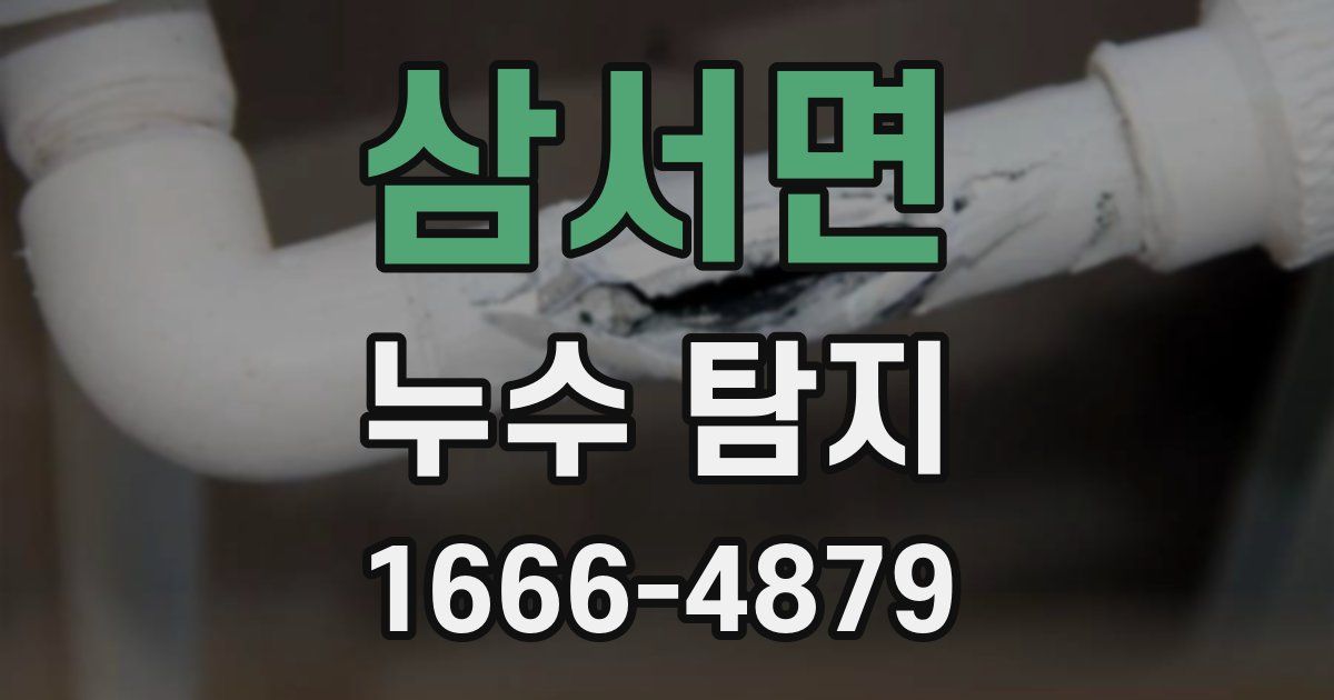 삼서면 누수 탐지