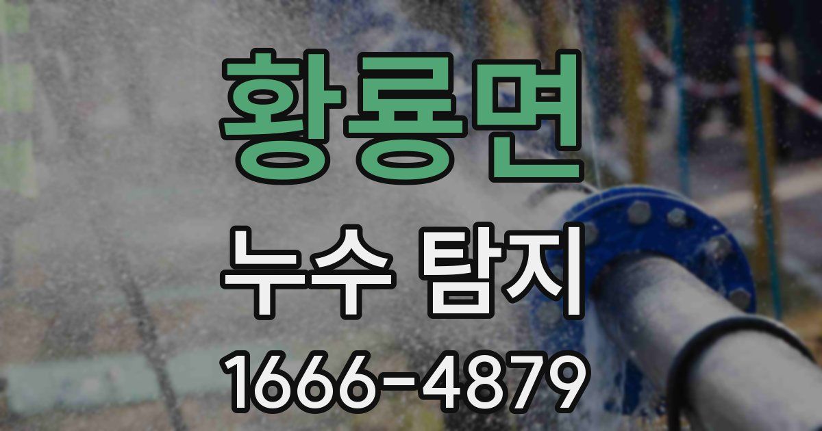 황룡면 누수 탐지