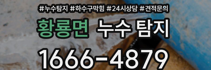 황룡면 누수 탐지