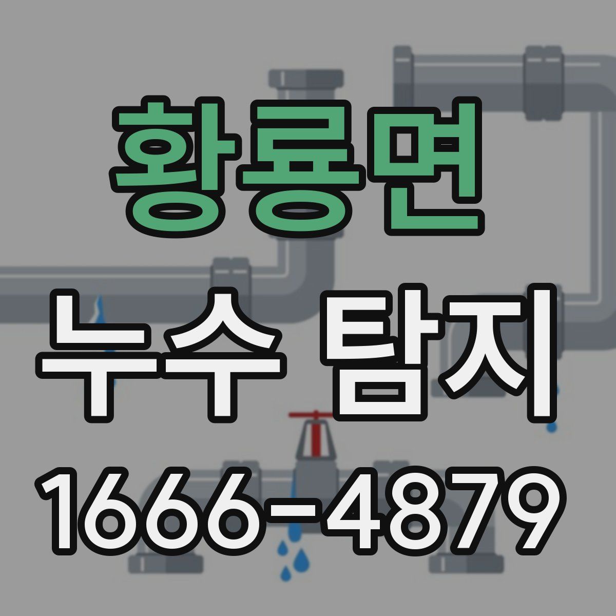 황룡면 누수 탐지
