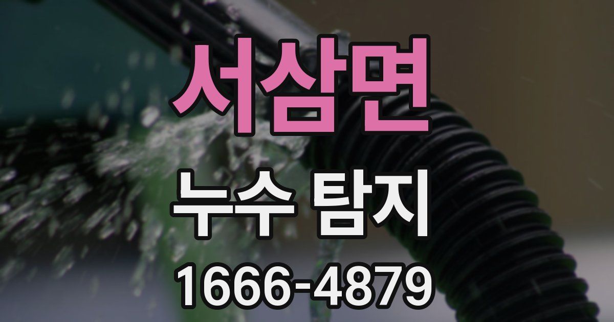 서삼면 누수 탐지