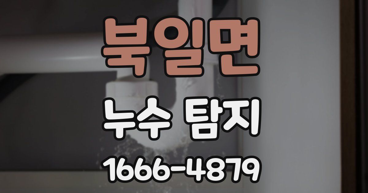 북일면 누수 탐지