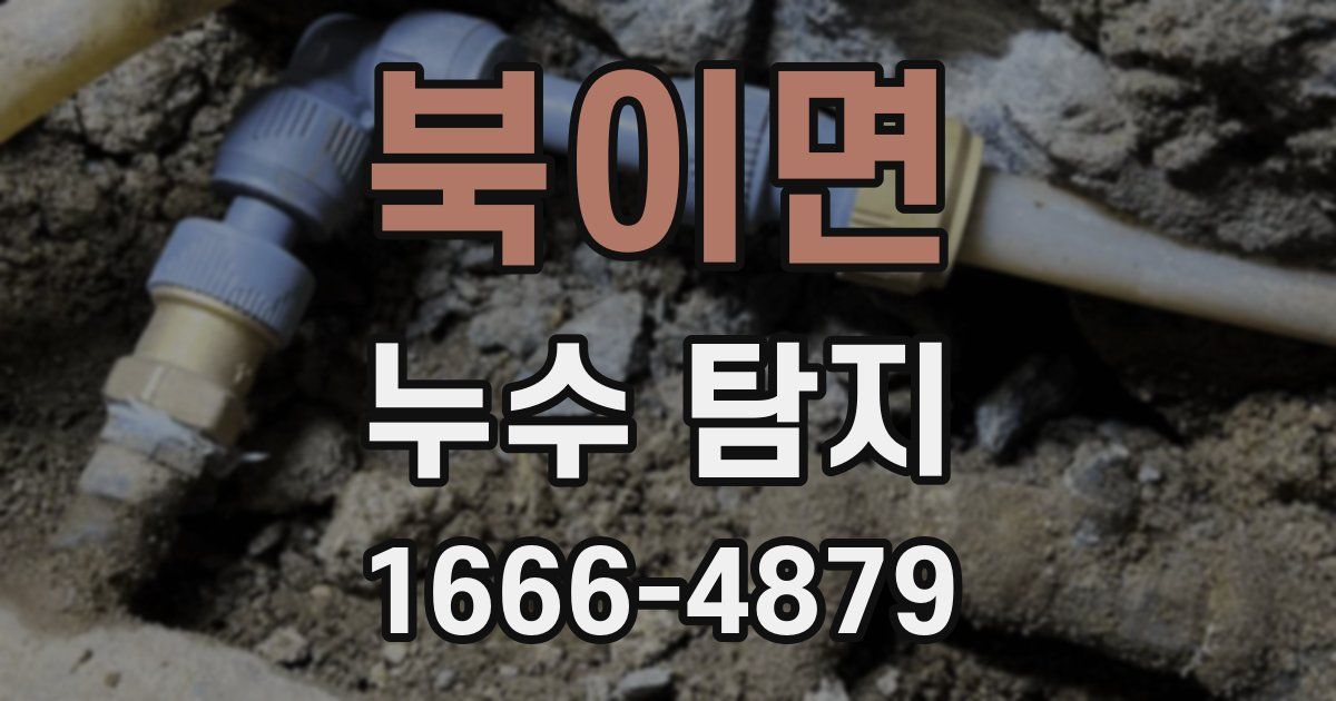북이면 누수 탐지