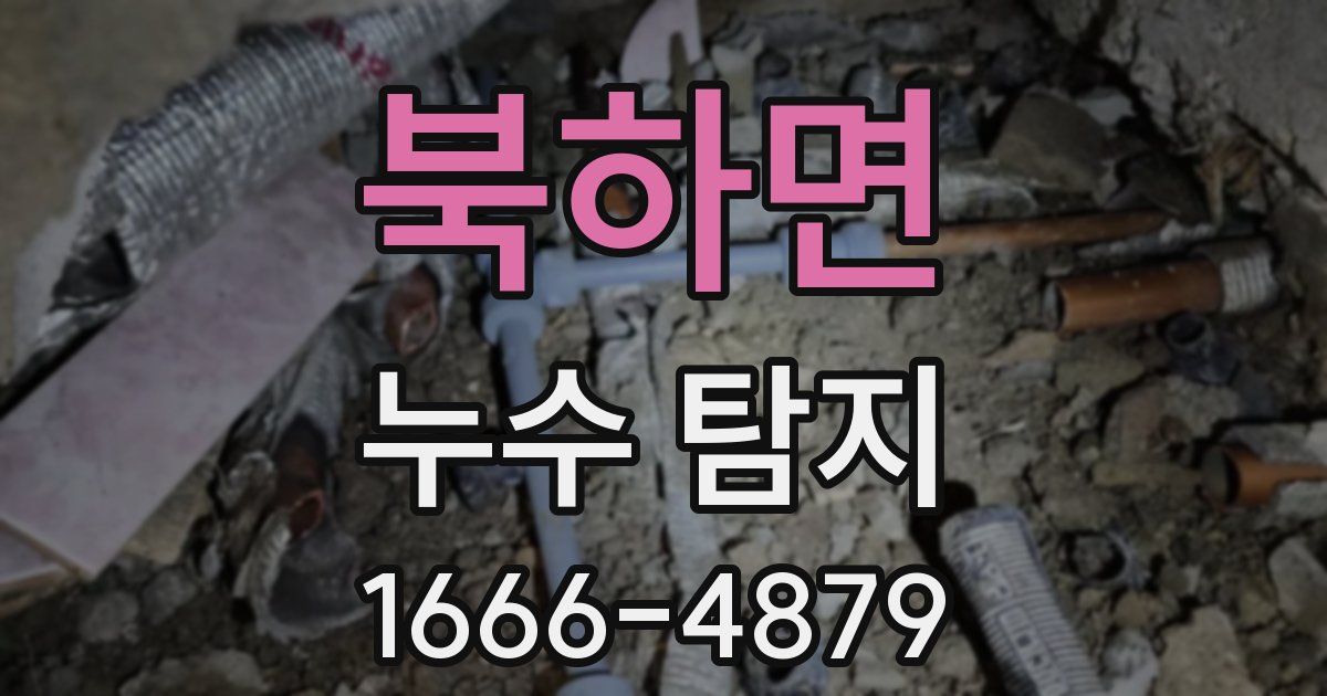 북하면 누수 탐지