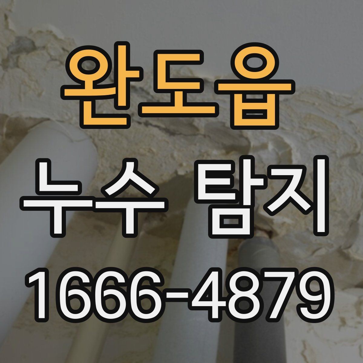 완도읍 누수 탐지 의뢰 전 비교하면 좋은 항목